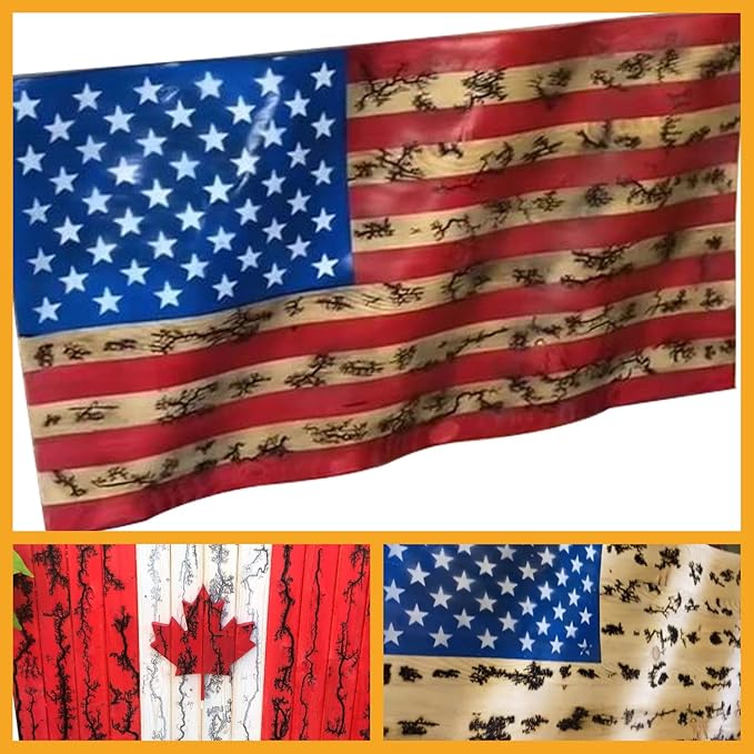 Lichtenberg Machine 10kV 30mA Neon Sign Transformer Fractal Wood Burning Machine Burner Device Neon Power Supply for Real Glass Neon Not Led High Voltage 10000V