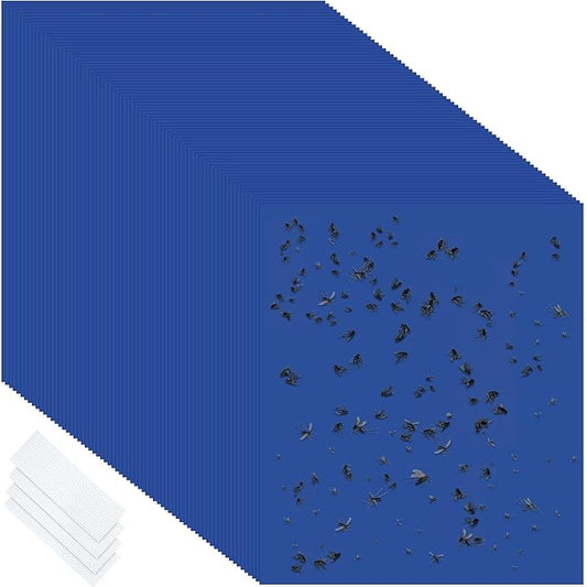 Qualirey 100 Pcs 6 x 8 Inch Sticky Traps for Plant Double Sided Sticky Trap for Gnats with Twist Ties Fly Traps for Fruit Insect Fungus Bugs Indoor Outdoor (Blue)
