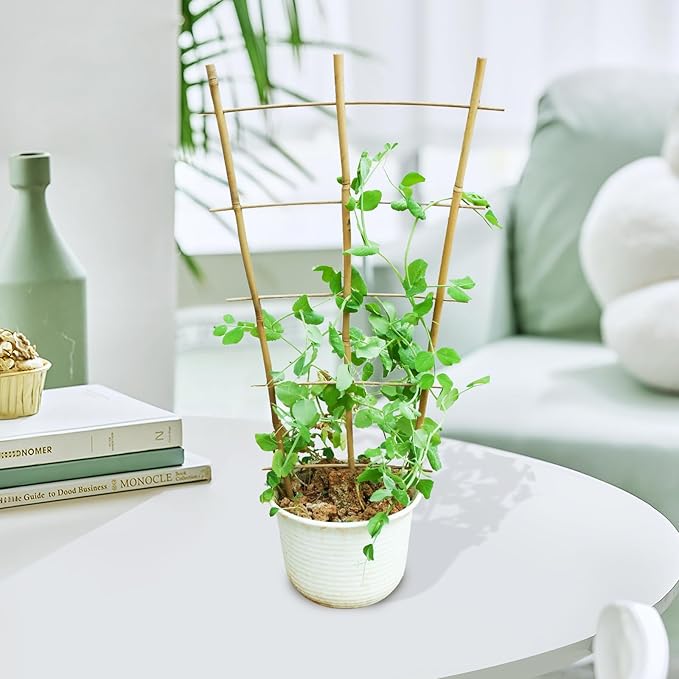 3PCS Fan-Shaped Bamboo Trellis, 2Ft Plant Trellis Indoor, Small Trellis for Potted Plants Indoor, Climbing Plants, Vegetables