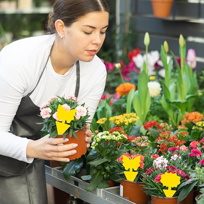 Fruit Fly Traps, 60 Pack Yellow Sticky Traps, Fungus Gnat Traps, Plant Fly Stickers for Indoor and Outdoor Use Protect The Plant