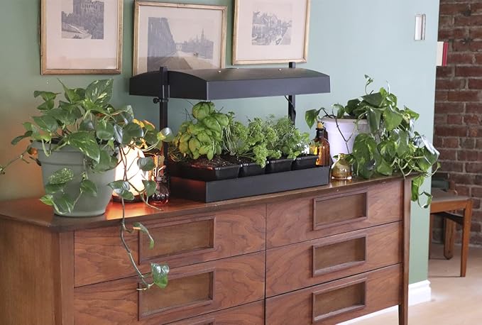 1600200 Grow Light Garden, Black