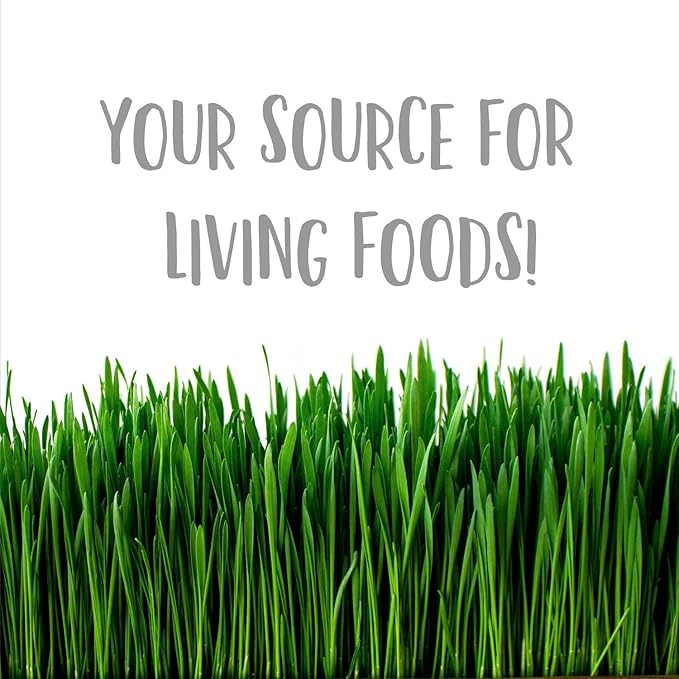 Handy Pantry Pro Micro Jute Microgreens Grow Mat Roll - 10 Inches Wide by 100 Feet Long - 1 Roll - Professional Hydroponic Growing Pad for Trays or Gutter - Micro Greens & Wheatgrass