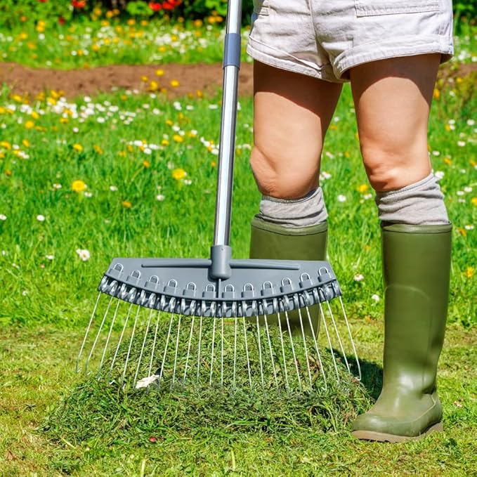 Colwelt Thatch Rake -24 Steel Tines, Dethatching Rakes with 54’’ Lightweight Stainless Steel Handle, Yard Dethatcher Rakes for Lawn(Pine Needles, Dead Grass, Thatch, Leaves, Mulch)