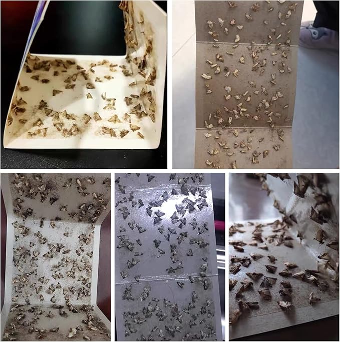 Moth Traps for Pantry Moths, 16 Pack Kitchen Moth Traps with Pheromones Prime, Non-Toxic Easy Setup Sticky Glue Trap for Food and Cupboard Moths in Your Kitchen (Organic)