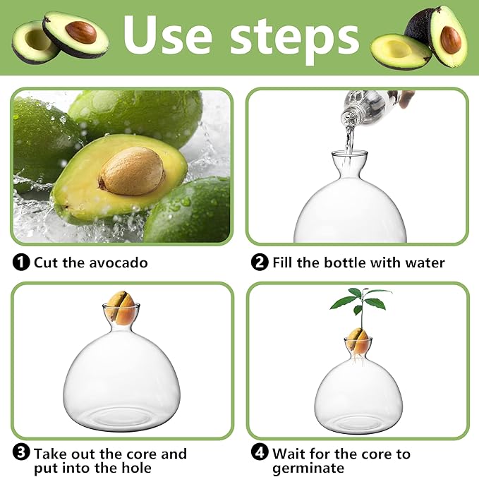 Avocado Tree Growing Kit,Avocado Seed Starter Vase,Glass Plant Pot with Avocado Stickers,Plant Indoor Grow Gardening Gifts