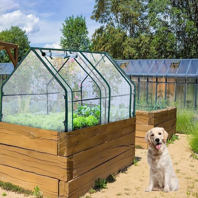 Mini Greenhouse, 6' x 3' x 3' Portable Greenhouse with Zip Door and Roll-up Windows, Indoor Outdoor Plant Gardening Green House, Durable PE Clear Cover Small Hot Houses for Flower, Vegetables