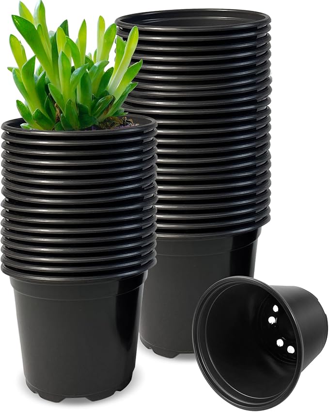 RAOOKIF 50 Pack Nursery Pots, 3 Inch Nursery Pot for Plants, Small Plastic Plant Pots with Drainage Holes, Garden Flower Pots for Transplanting, Succulents, Cuttings, Seedlings(3inch,50pcs)