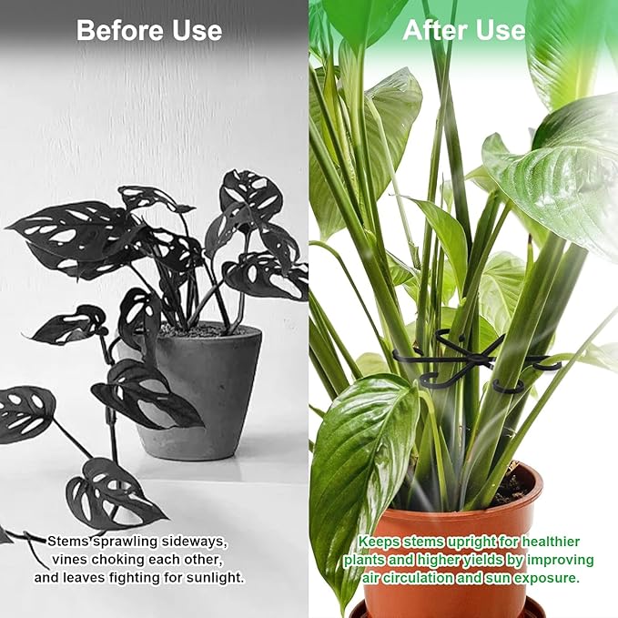 6pcs Climbing Houseplant Stem Supports,Plant stem Support Indoor Outdoor Use,Stem Hook Growth Accessories for Plant Garden, Promotes Upright Growth and Airflow(Black)