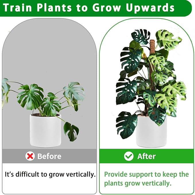 Moss Pole - 2 Pack: 17 Inch Coir Plant Support - Stackable - For Climbing Plants