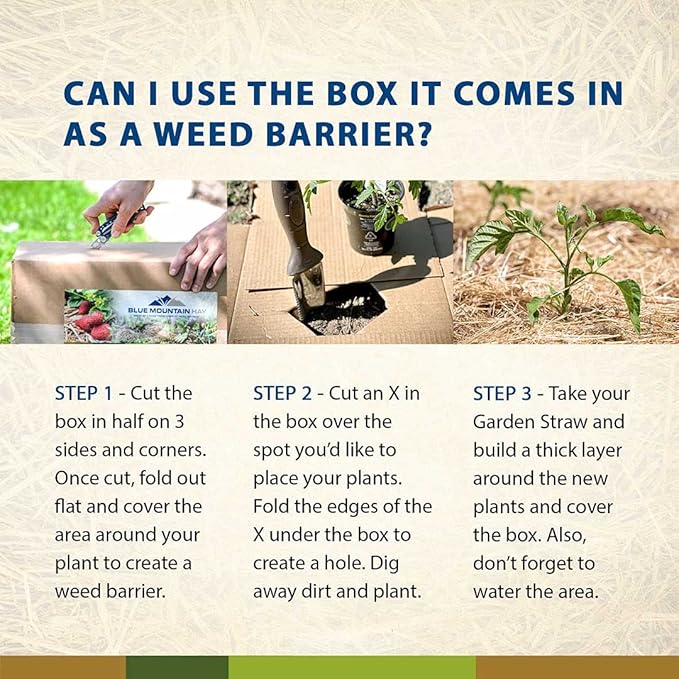 Blue Mountain Hay | Organic Garden Straw (5 lb) | Natural Mulch for Gardening, Flower Beds, Yard Landscaping, New Lawn Grass Seeding, Composting | Covers up to 75 sq ft