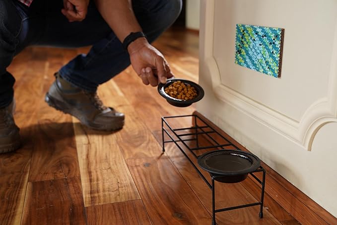 RESCUE! FlyPad – Sticky Fly Traps for Indoor & Outdoor Use - 2 Traps