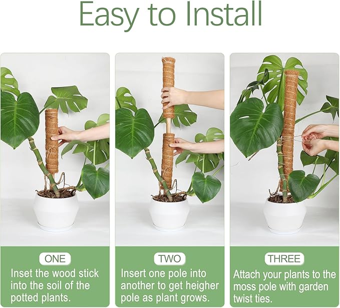 Joyhalo Moss Pole Monstera Plant Support, 6 Pcs 15.7 and 12 Inch Moss Stick for Potted Plants, Plant Pole with 65 Feet Garden Twist Tie