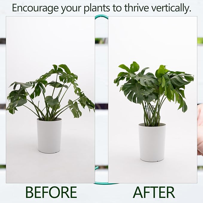 5PCS Monstera Plant Stem Support 7.3*6.25IN Adjustable Holder for Indoor Plants, Durable Metal Structure with Gentle Clips, Perfect for Fishbone Cactus & Climbing Plants, Ideal Gardening Gift