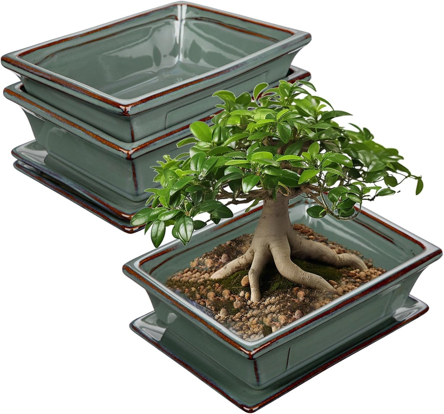 Ceramic Bonsai Pots with Drainage Trays Set of 2, Green Glazed Bonsai Planters for Indoor/Outdoor Use, Rectangular Shallow Bonzai Tree Pot for Succulent, Orchids, Cacti, Home, Patio, Garden, 7.5"x5.5"
