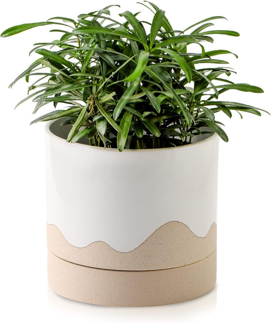 Nihow Ceramic Plant Pot: 6 Inch Planter with Drainage Hole & Saucer for Indoor & Outdoor Plants - Cylinder Round Flower Pot for Succulent/Herbs/Violets - White & Nature