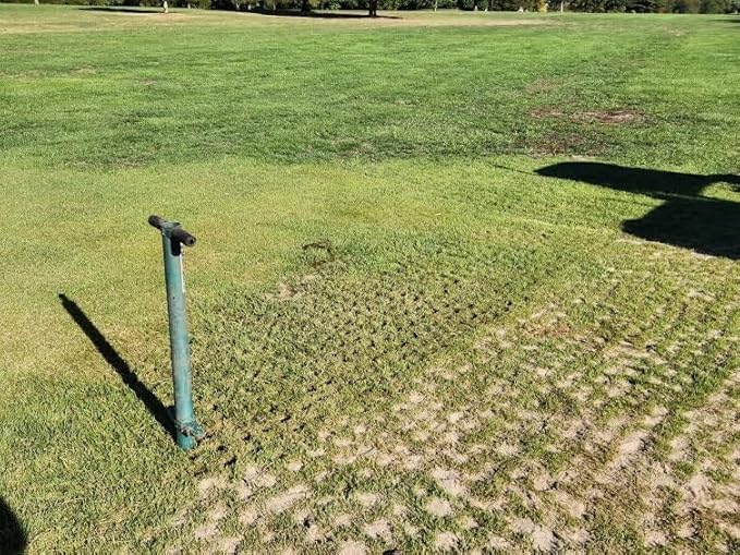 Edward Tools 5 in 1 Long Handle Garden Tool - Sturdy Steel Pro Grade Bulb Planter, Long Handle Weeder, Sod Plugger, Soil Probe, Transplanter - Step, Twist, Pull - Multi Depth Options