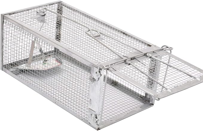 Kensizer Animal Humane Live Cage Trap That Work for Rat Mouse Chipmunk Mice Voles Hamsters and Other Small Rodents, Trampa para Ratones, Catch and Release 1Pack Medium 12" L x 6.5" W x 5" H