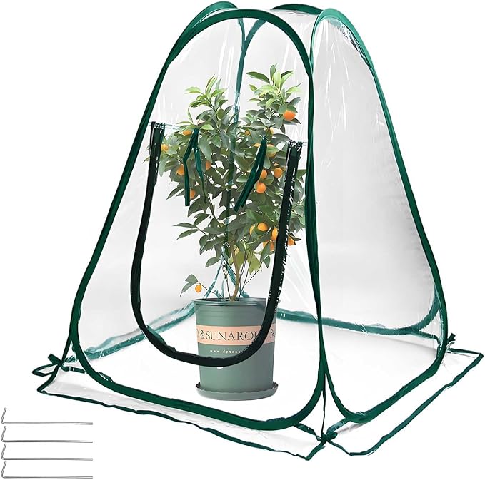 Pop Up Greenhouse Plant Cover Mini Transparent Freeze Protection Greenhouse PVC Tent with Roll-up Zipper Entry Doors for Indoor and Outdoor Gardens Protecting Plant from Cold Frost (PVC, 28x28x32in)