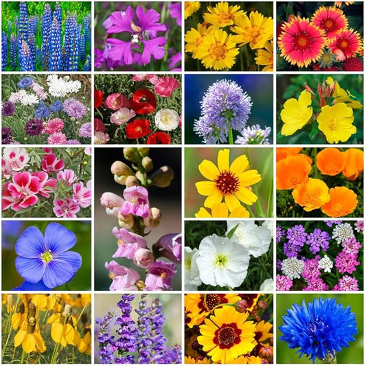 Park Seed Grow Your Own Vibrant Annual and Perennial Wildflower Garden Seeds Mixture, Easy to Grow Varieties for Pollinators and Spring Gardens - Western Regional Mix, 1/4 lb