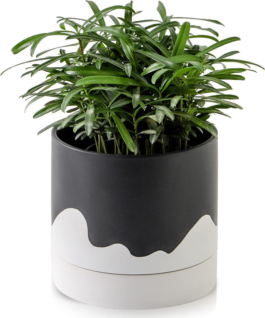 Nihow Ceramic Plant Pot: 6 Inch Planter with Drainage Hole & Saucer for Indoor & Outdoor Plants - Cylinder Round Flower Pot for Succulent/Herbs/Violets - Black & Wave White