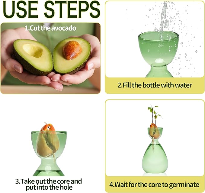 Avocado Vase Avocado Seed Starter Vases Trees Live Plants Growing kit Glass 2pc