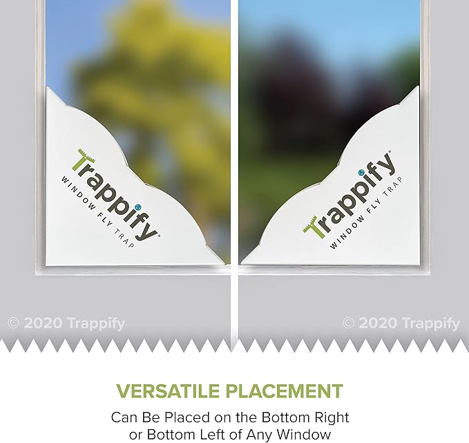 Trappify Fly Trap Indoor: Window Fly Traps for Home | Fruit Fly Traps for Indoors, Gnat Traps for House Indoor | Disposable Fly Trap with Sticky Adhesive Strips | Inside Bug Catchers (8 Pack)