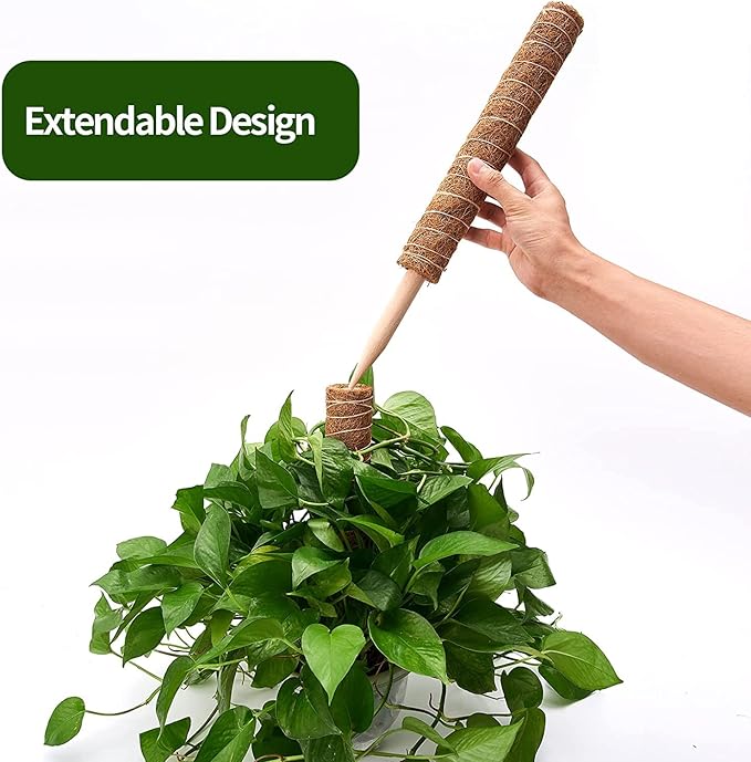 8 Pcs Moss Pole for Plants Monstera, Plant Support Stakes for Indoor Climbing Plants Grow Upwards, with 65ft Twist Ties, 13ft Jute Rope, 6.5ft Hook-and-Loop Strip