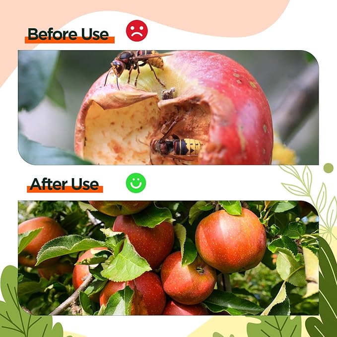 Qualirey 3 Pcs Wasp Traps for Outdoors Wasp Killer Hanging Bee Traps Reusable Fly Bee Killer for Indoor Outdoor Patio Garden Home (Yellow,Green,Orange)