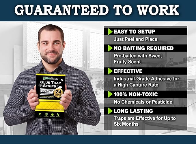 MaxGuard Glue Trap Strips (24 Traps) Non-Toxic Extra Sticky Glue Board Pre-Baited with Fruity Scent Attractant Trap & Kill Insects, Bugs, Spiders, Crickets, Scorpions, Cockroaches, Centipedes, Mice