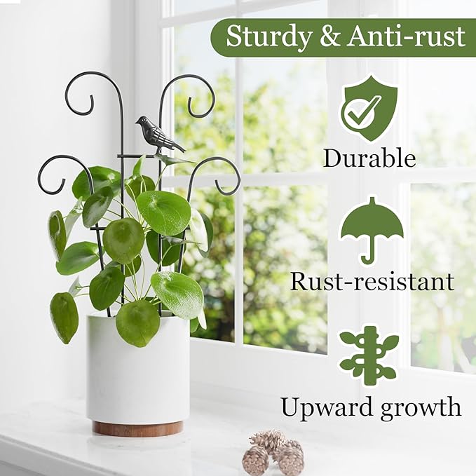 Plant Trellis for Climbing Plants Indoor, 3 Pack Metal Garden Trellis for Potted Plants, Rustproof, Sturdy Climbing Plant Support for Indoor & Outdoor Houseplants