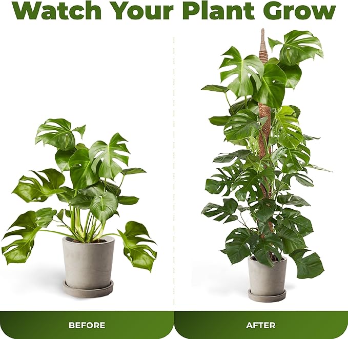 2 Pack 48 Inch Bendable Moss Pole Monstera Plant Support Stakes for Indoor Plants - Tall Moss Stick Trellis for Potted Climbers - Stem Support Accessories for Climbing Houseplants