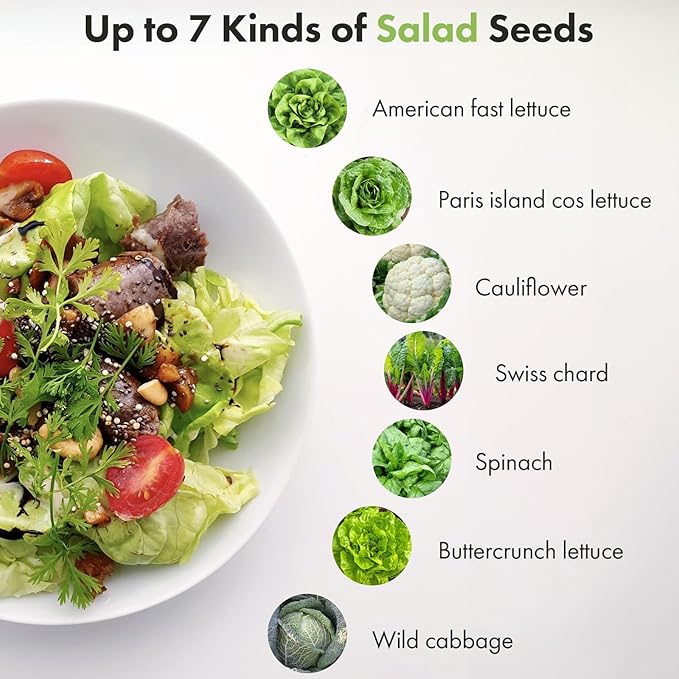 LYKOCLEAN Salad Buttercrunch Lettuce Seeds for AeroGarden, iDOO, Ahopegarden Hydroponics Growing System, 18-pods, 350+ Seeds (Include Spinach, American Fast Lettuce,Paris Island Lettuce, Cauliflower)