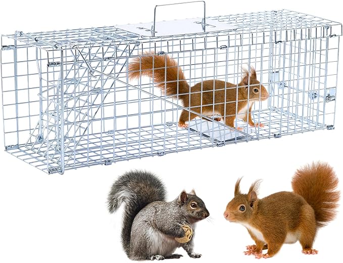 24” Humane Animal Trap Live Animal Trap Cage for Squirrels Small Stray Cats Rabbits Groundhogs Moles Gophers and Chipmunks up to 5.5 lbs Galvanized Rustproof Live Animal Cage Trap