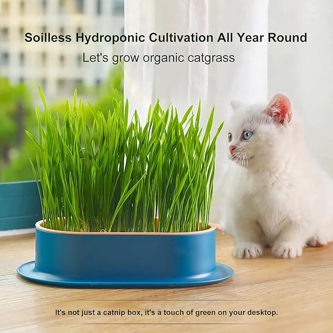 2Pcs Cat Grass Planter (No Seeds Included) Wheatgrass Planting Trays Hydroponic Cat Grass Growing Kits for Indoor Cats Soilless Organic Nursery Box Pet Grass Pot (M)