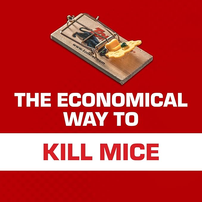 Tomcat Mouse Traps (Wooden), Inexpensive, Effective Way to Catch Mice in the Home, 2 Traps