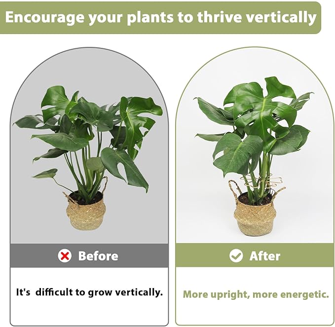 PRETTY JOLLY 5PCS Iron Monstera Plant Support Stakes Premium Plant Stand for Indoor & Outdoor Plants Practical Leaf Holders,Durable Trellis Accessories for Gardening Enthusiasts(Butterfly)