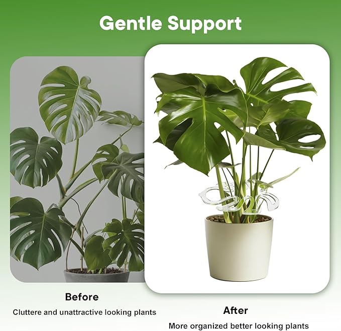 2PCS Plant Stem Support , Acrylic Monstera Stabilizer Grapple Holder Unique Design for Climbing Plants, Turtle Shell Bamboo Clamp Set, Ideal Plant Support for Thriving Growth Indoor Outdoor Plants
