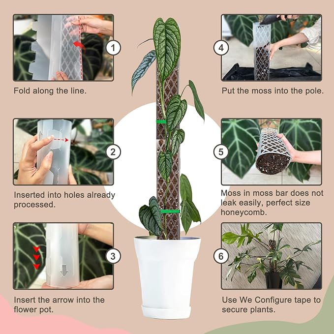 Sisher Monstera Moss Pole 4pcs Plastic Moss Pole for Climbing Plants Work with Sphagnum Moss 16 Inch D Shaped Poles Sturdy Plant Support Stakes Plant for Indoo Plants, White
