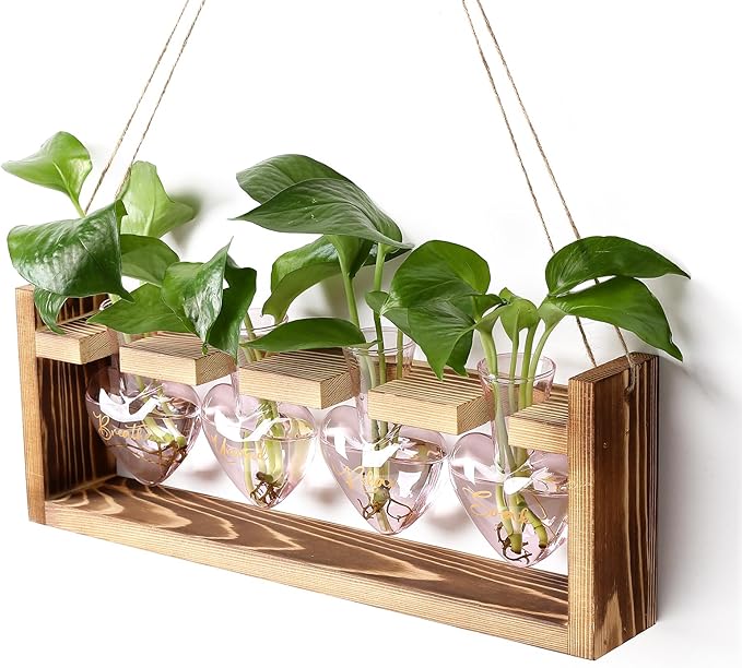 Plants Propagation Stations Plant Terrarium Kit for Bathroom Glass Planters for Indoor Plants Bathroom Decor Accessories - Relax Soak Unwind Breathe