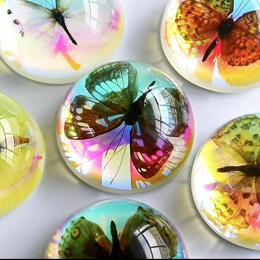 Real Butterfly Specimens, Resin Insect Specimens, Educational Bugs Specimen Set for Kids, Preschool Education, Biology, Insect Lovers (Butterfly Specimens)