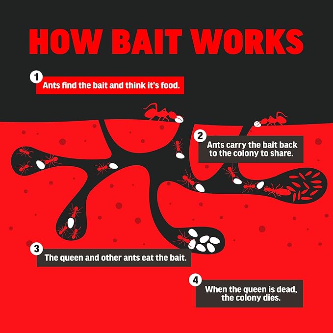 Amdro 100550427 Ant Killer for Outdoor Home Perimeter 24 oz, Black Label