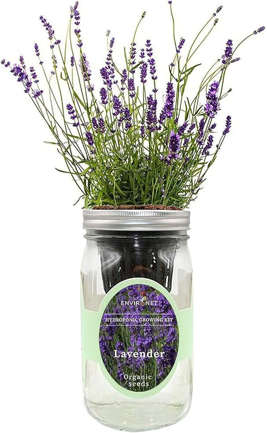Hydroponic Herb Growing Kit, Self-Watering Mason Jar Herb Garden Starter Kit Indoor, Windowsill Herbs Garden, Grow Your Own Herbs from Organic Seeds (Lavender)