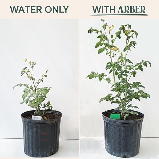 Organic Protectant – Liquid Fertilizer & Plant Food for Houseplants, Indoor & Outdoor Use – Instant Nourishment for Potted Plants, Flowers, Vegetables, Herbs, Air Plants, and Tropical Plants