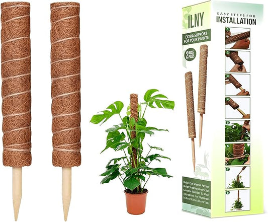 Moss Pole Pack of 2 | 50 CM Monstera Plant Support | Indoor Plant Poles | Sturdy Plant Moss Pole for Healthy Plants | Coir Pole for Plants