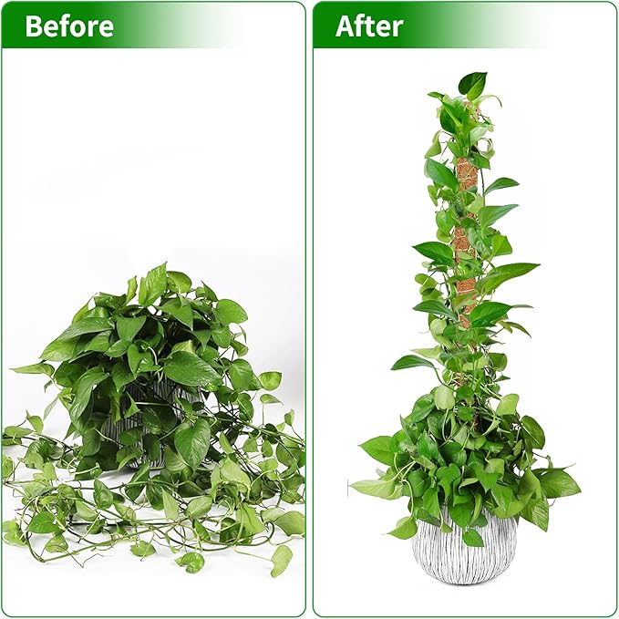 2 Pack Moss Pole, 26.8-Inch Moss Poles for Plants Monstera,Bendable Plant Support Stakes for Climbing Plants Indoor, Garden Trellis Plant Stick for Potted Plants, Pothos Philodendron