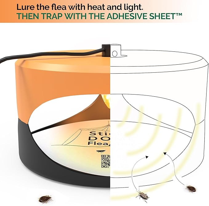 ASPECTEK Sticky Dome Flea Trap, Odorless Glue Trap with 2 Sticky Discs, Effective Bed Bug Killer and Flea and Tick Treatment, Indoor Insect Trap for Bugs, 2 Packs in Orange and Dark Gray