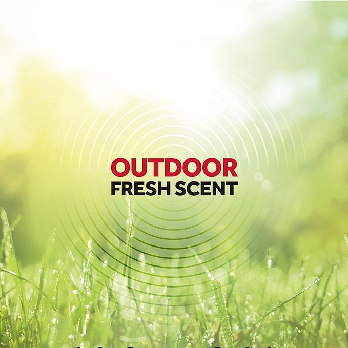 Raid Flying Insect Killer 15 Ounce (Pack of 12)