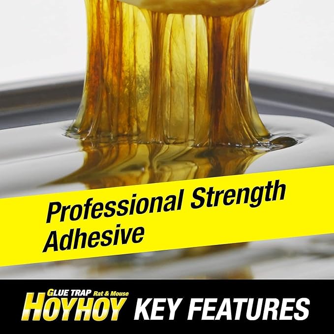 HOY HOY Regular Size Rat & Mouse Indoor/Outdoor Glue Trap (4 Pack)