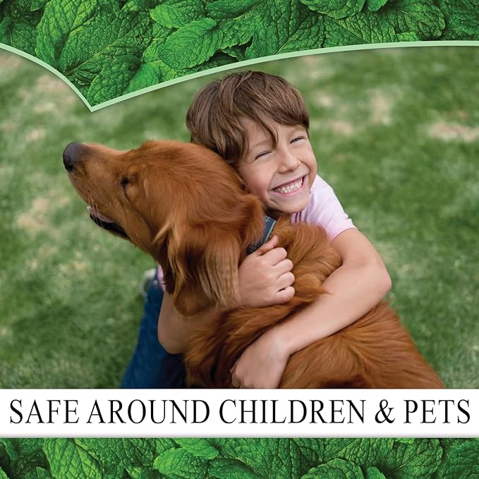 Puremint Ant Killer - Natural Peppermint Essential Oil Spray for Bugs, Ants and Insects - Safe for Indoor & Outdoor Use Repellent Spray 128 Fl Oz Gallon Trigger Sprayer, 128 fl oz