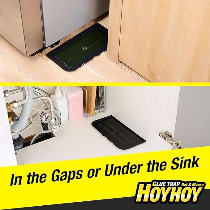 HOY HOY Regular Size Rat & Mouse Indoor/Outdoor Glue Trap (4 Pack)
